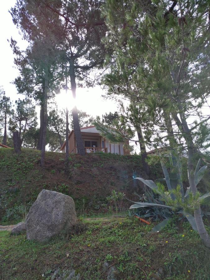 Camping Tikiti Propriano  Exterior foto